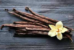 Βανίλια Μαδαγασκάρης fructus stick